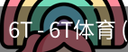 6T体育